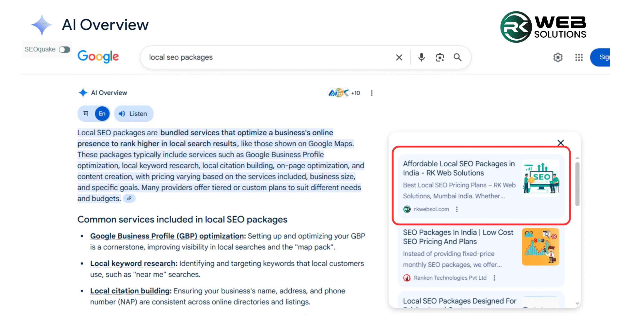 Google AI Overview RK Web Solutions