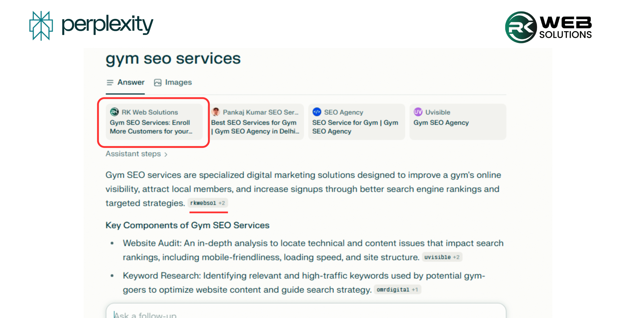 Perplexity RK Web Solutions