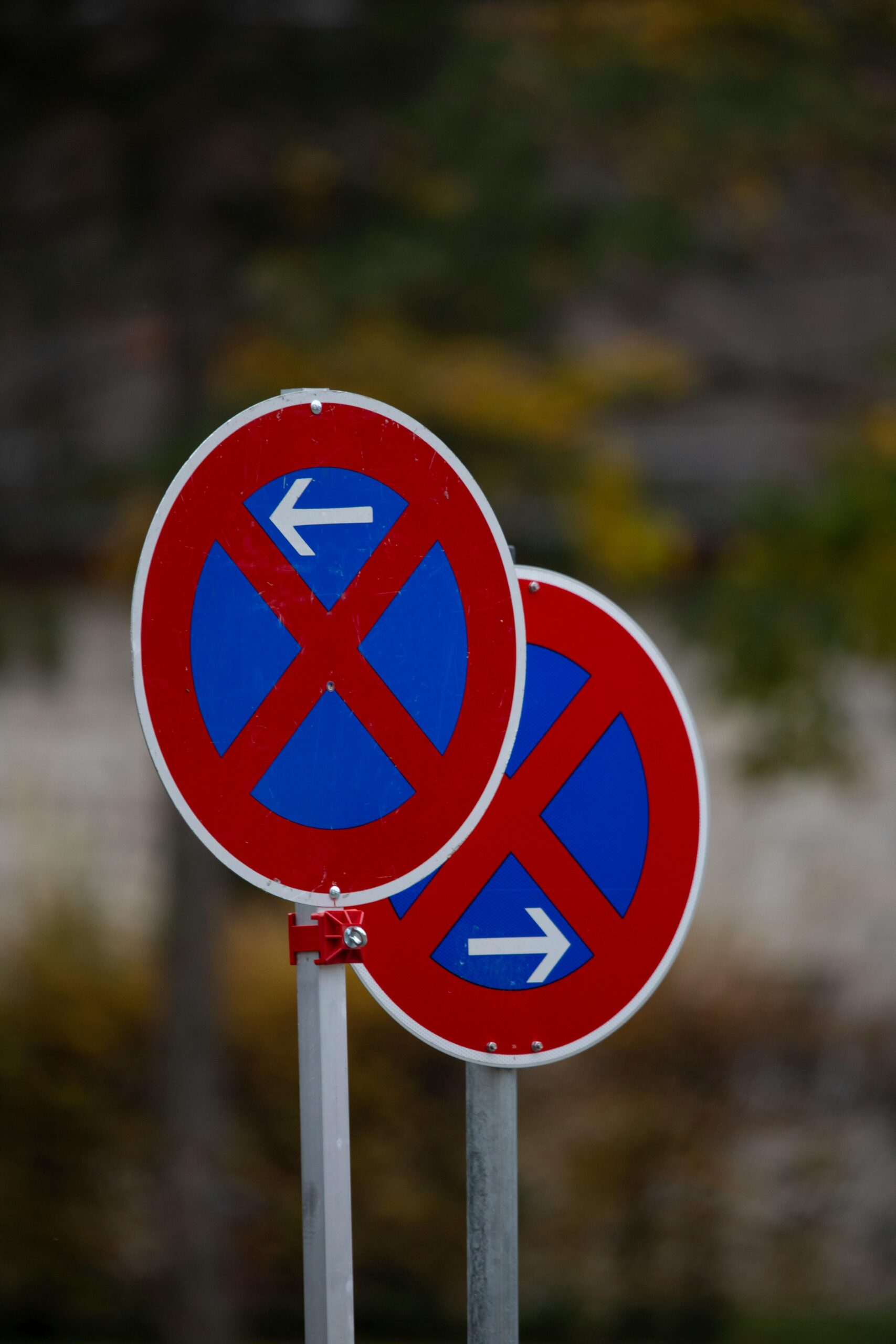 small business seo packages image small business seo packages image